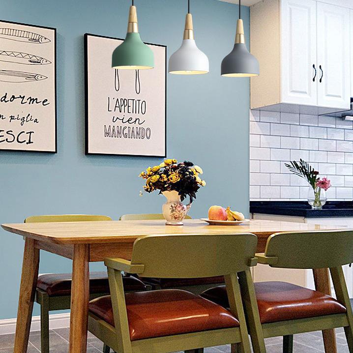 Modern Macaron Disc Pendant 1-Light