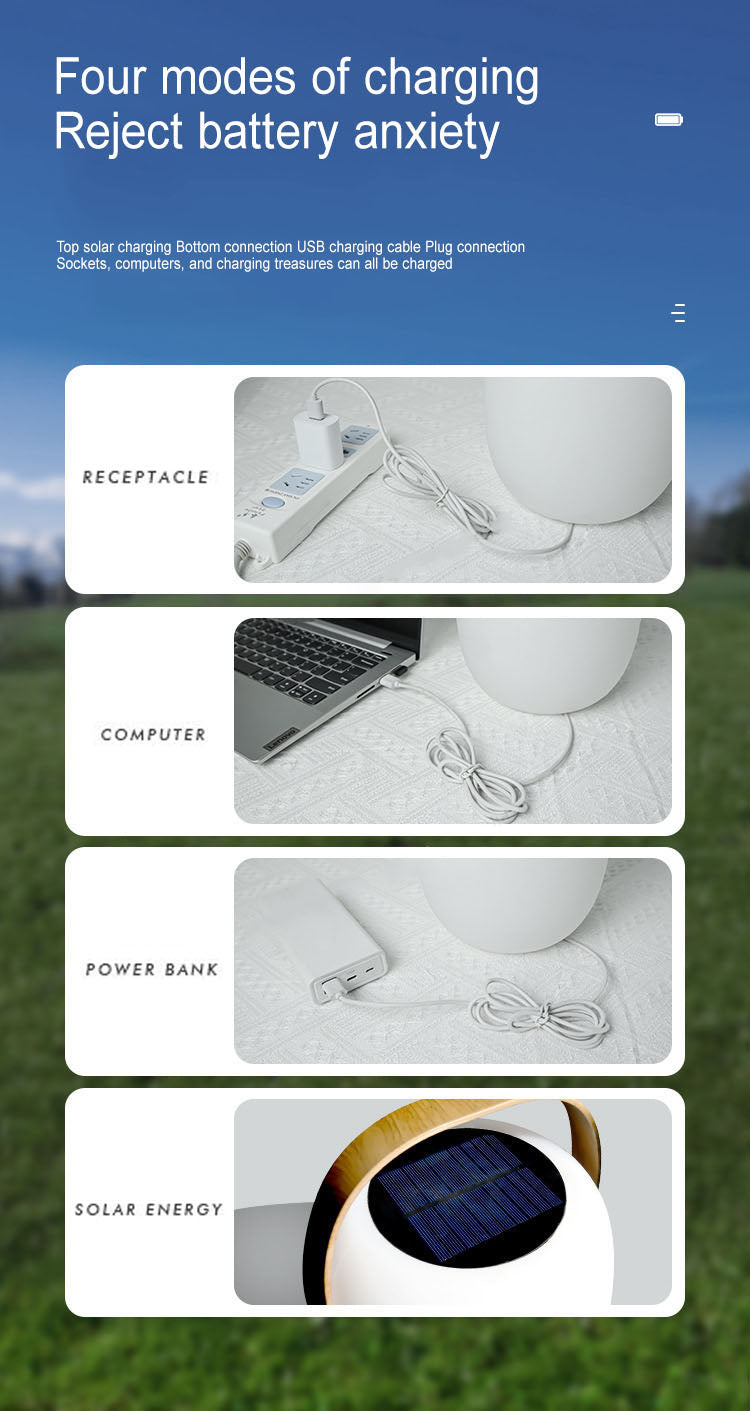 Modern Portable Solar LED Outdoor Lantern Light 1-light