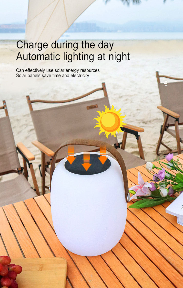 Modern Portable Solar LED Outdoor Lantern Light 1-light