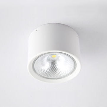 Nordic Cylinder LED Flush Mount Ceiling Light