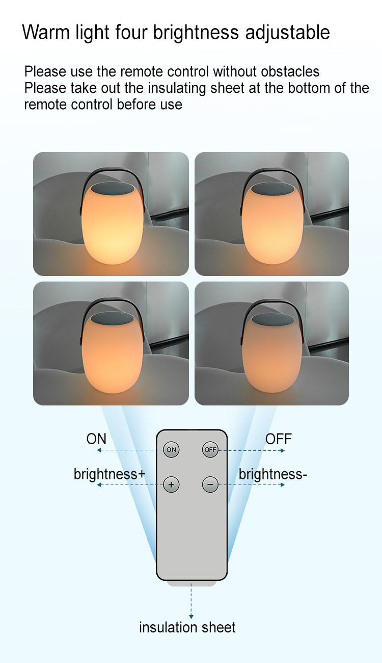 Modern Portable Solar LED Outdoor Lantern Light 1-light