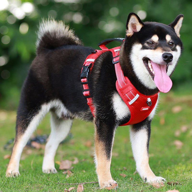 Guili | Reflective Dog Harness