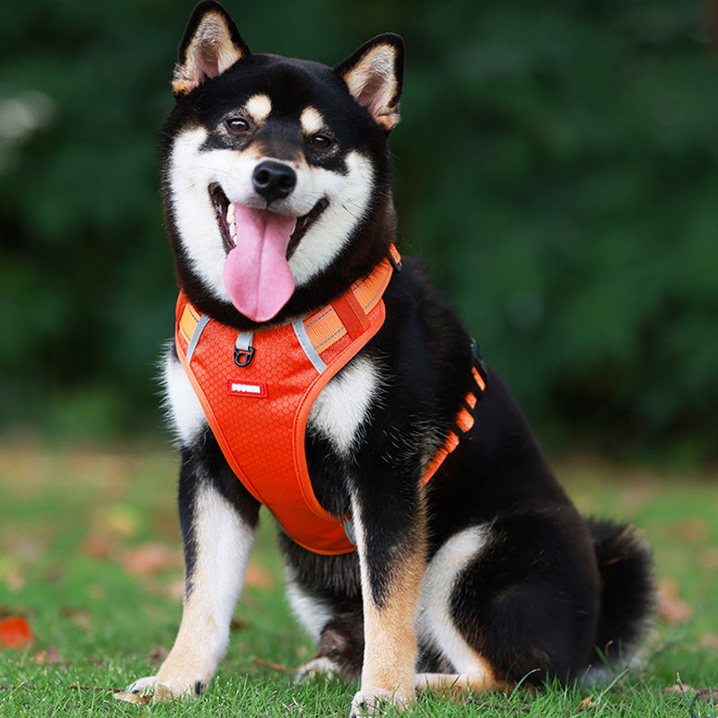Guili | Reflective Dog Harness