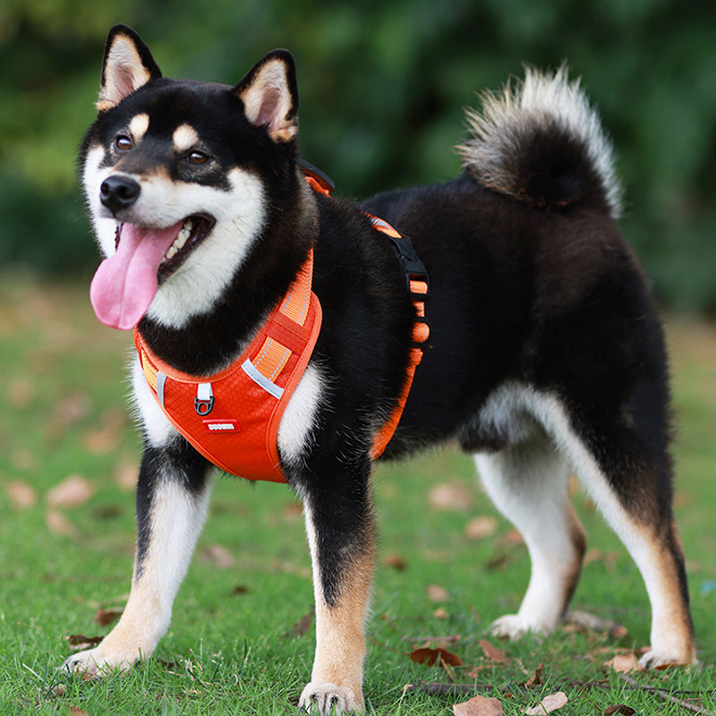 Guili | Reflective Dog Harness