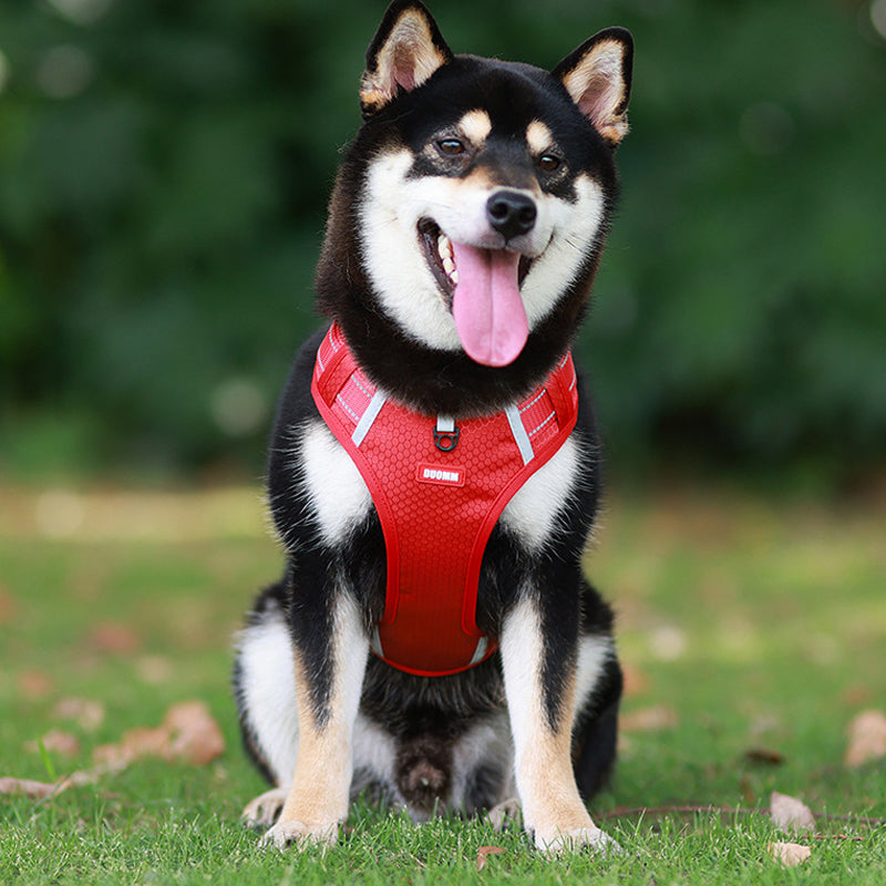 Guili | Reflective Dog Harness