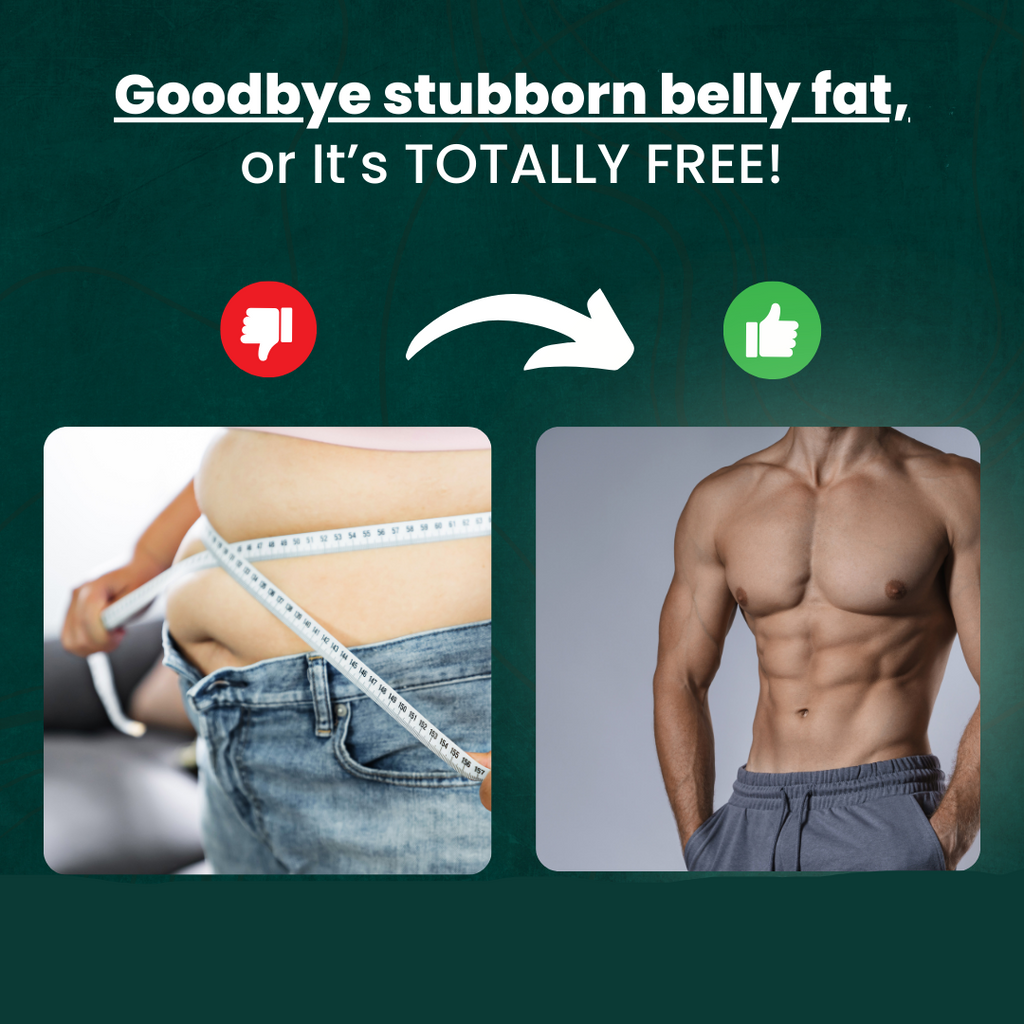 Guili | Abdominal Exerciser | Fitness Machine for Muscle Trainer | Equipment for Abs Workouts