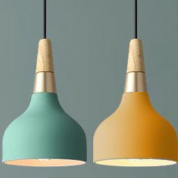 Modern Macaron Disc Pendant 1-Light