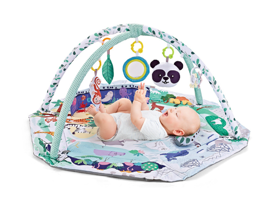 Baby Activity Play Mat | 8-in-1 Sensory Development Center