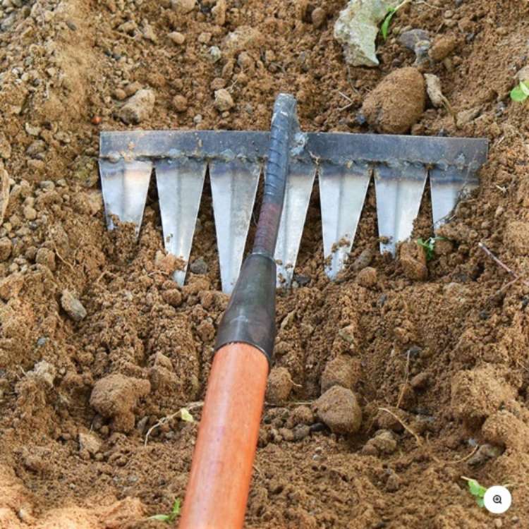 Guili | Steel Garden Rake with Durable Steel Tines for Lawn Care and Yard Maintenance