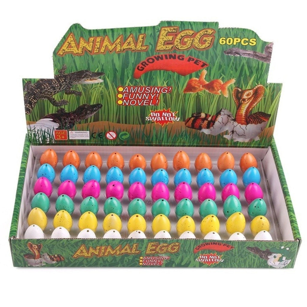 Guili | Water Expansion Dino Eggs | Magical Toy - See Dinosaurs Grow