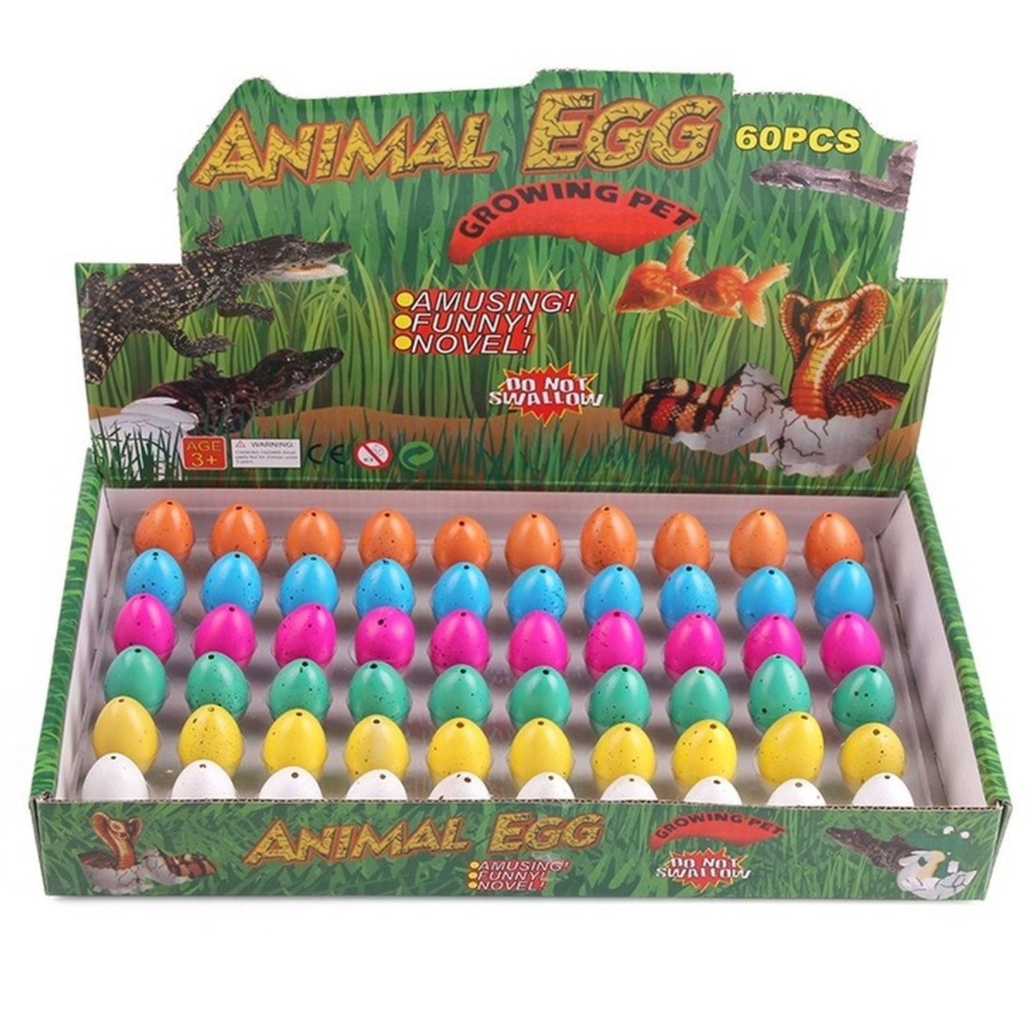 Guili | Water Expansion Dino Eggs | Magical Toy - See Dinosaurs Grow