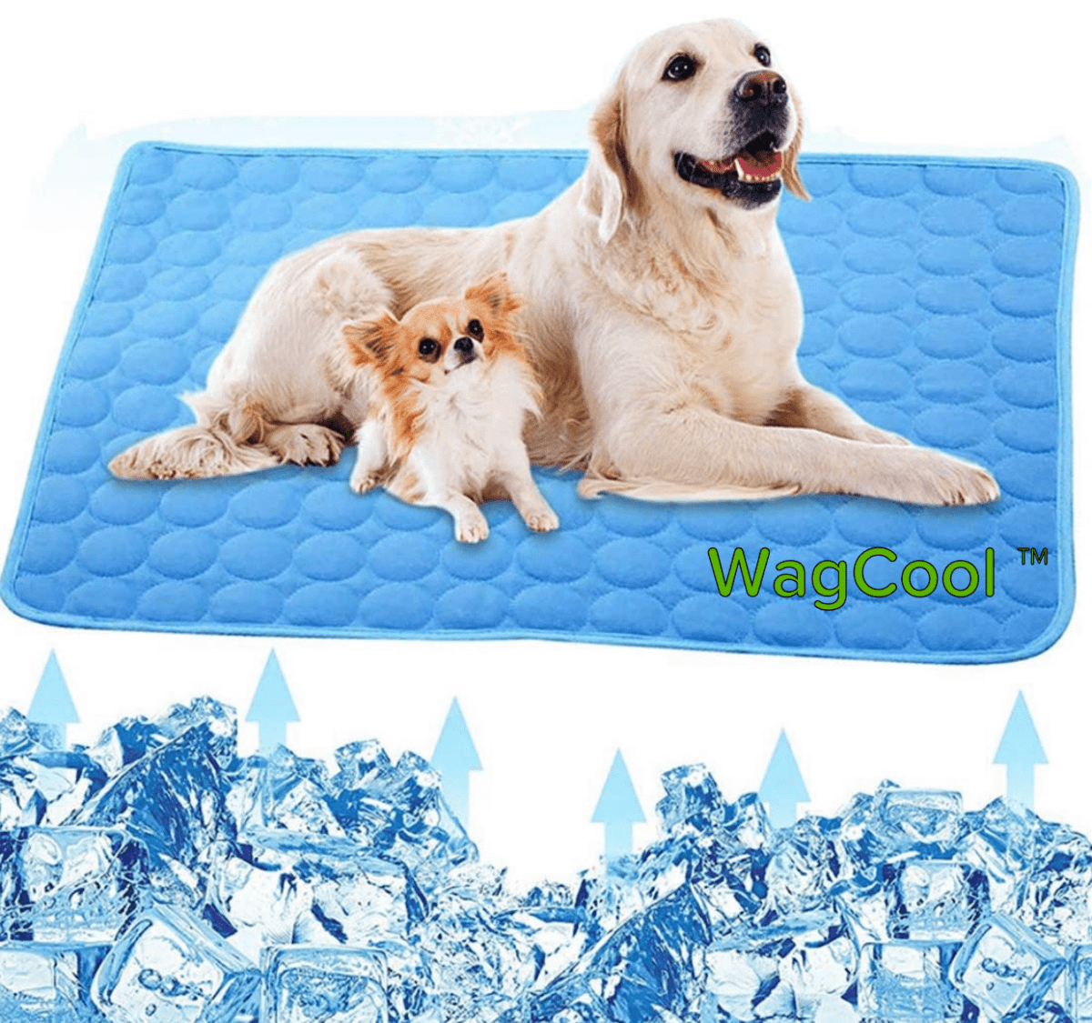 Guili | Cooling dog mat for hot days & instant refreshment