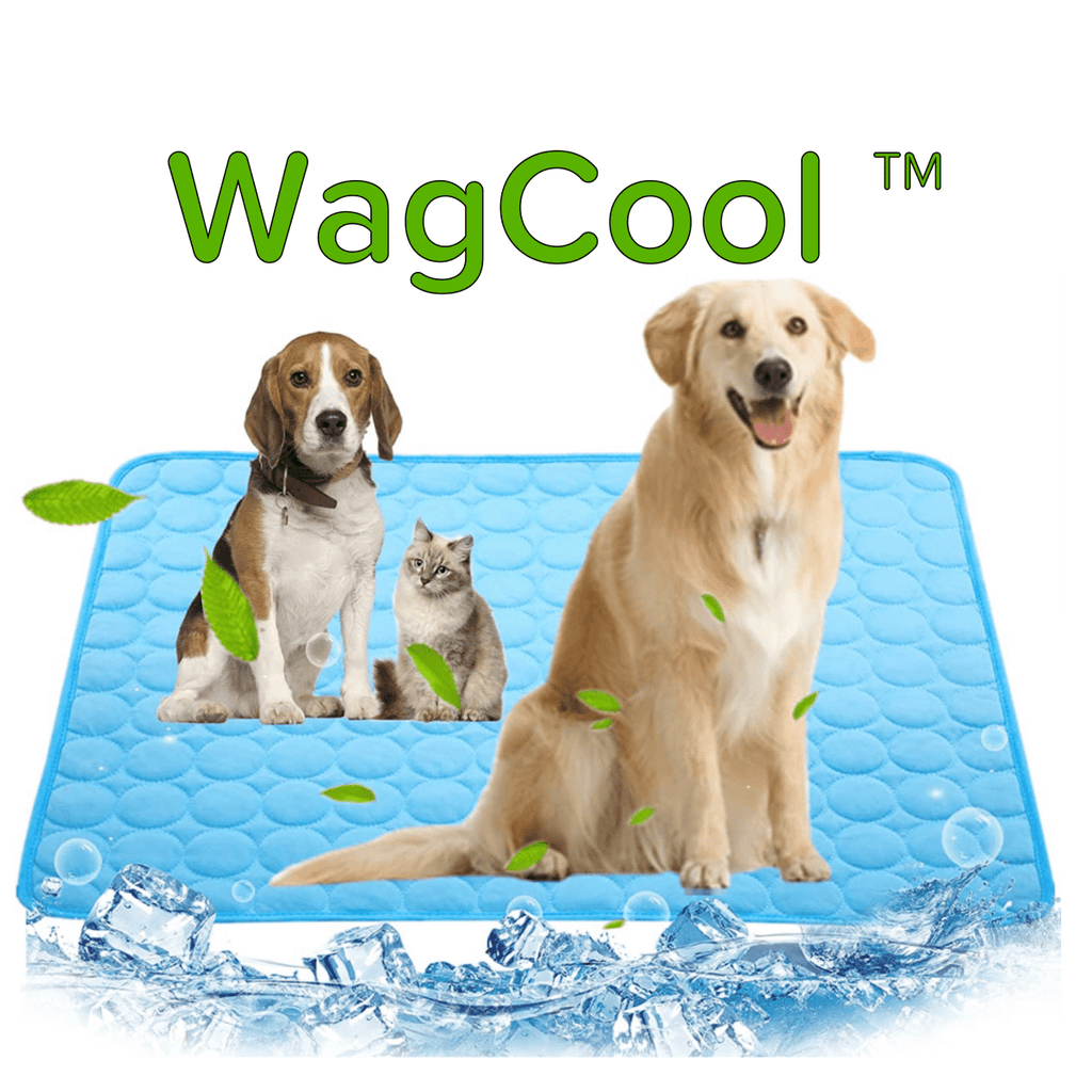 Guili | Cooling dog mat for hot days & instant refreshment