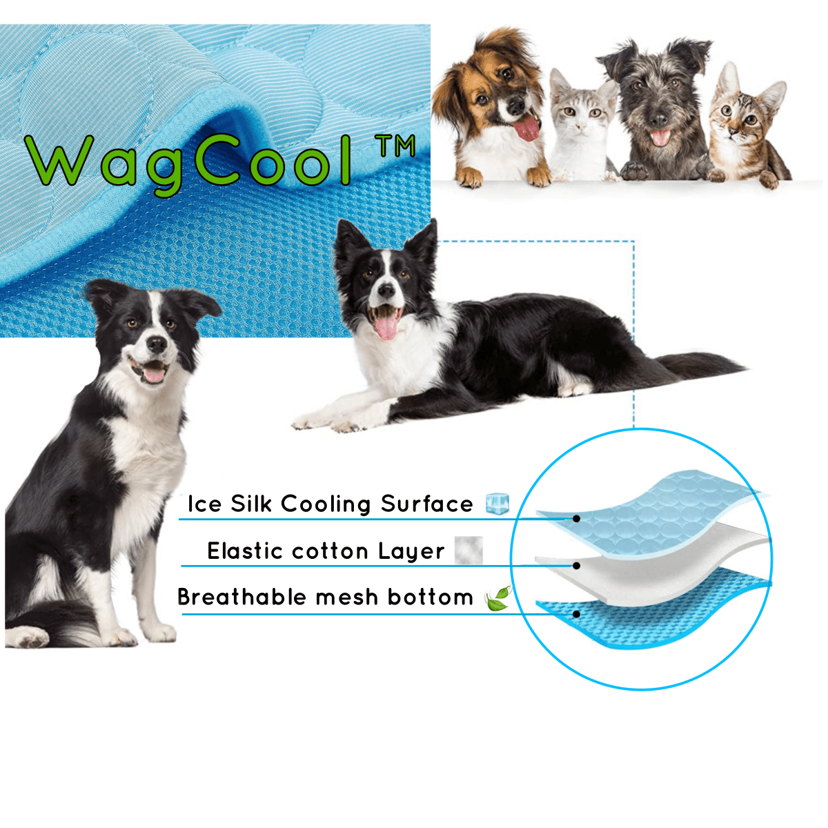 Guili | Cooling dog mat for hot days & instant refreshment
