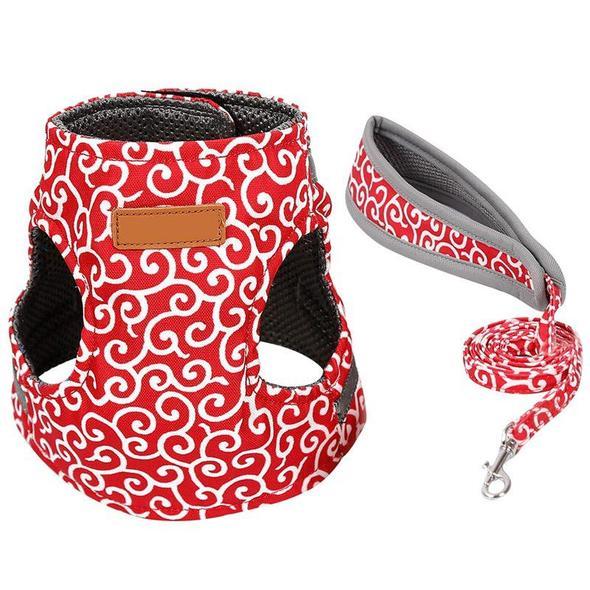 Guili | Cat Vest Harness and Leash Set to Outdoor Walking