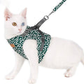 Guili | Cat Vest Harness and Leash Set to Outdoor Walking