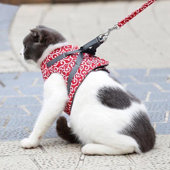 Guili | Cat Vest Harness and Leash Set to Outdoor Walking