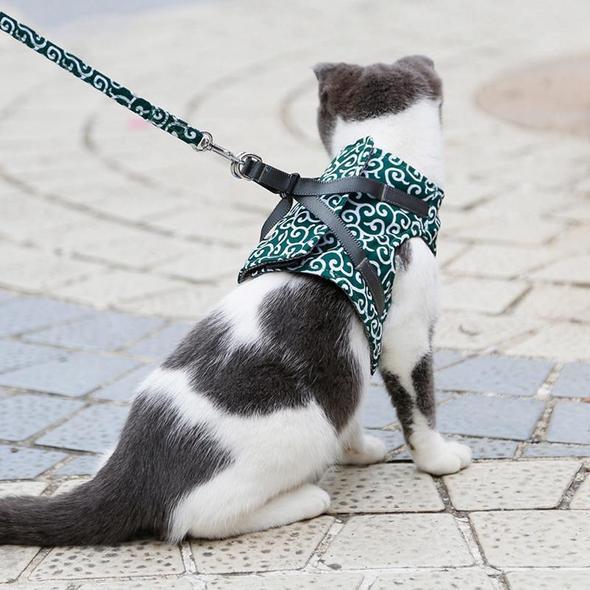 Guili | Cat Vest Harness and Leash Set to Outdoor Walking