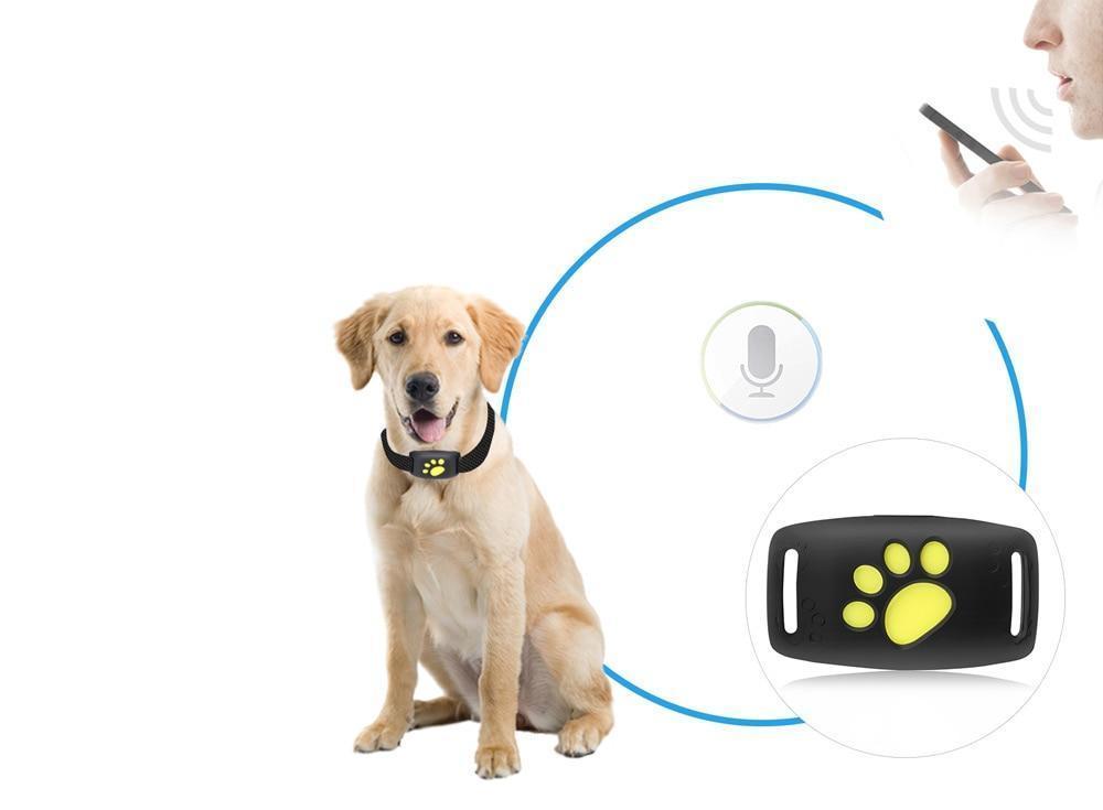 PAWTRACK MINI – GPS Tracker for Real-Time Cat Location Monitoring