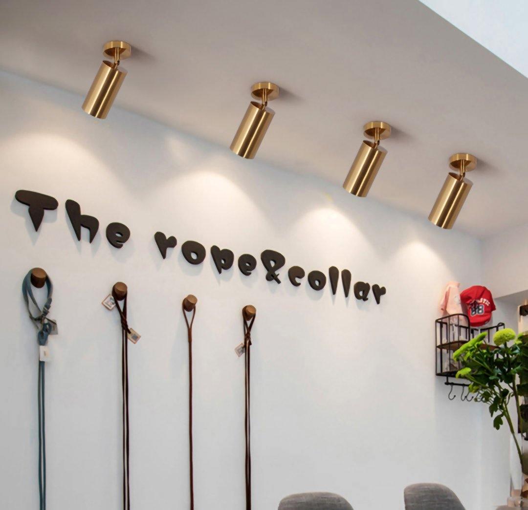 Modern Brass Double Cylinder Adjustable Wall Spotlight