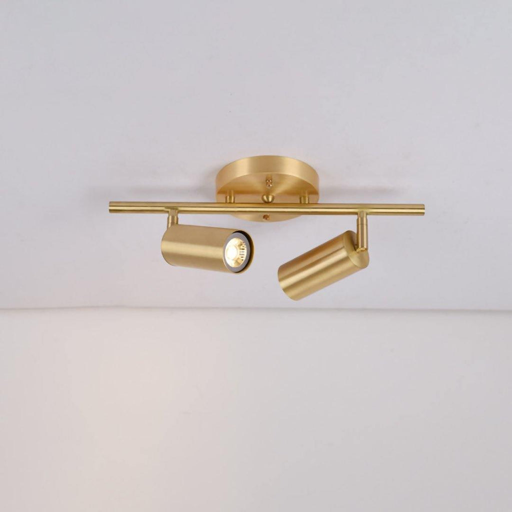 Modern Brass Double Cylinder Adjustable Wall Spotlight