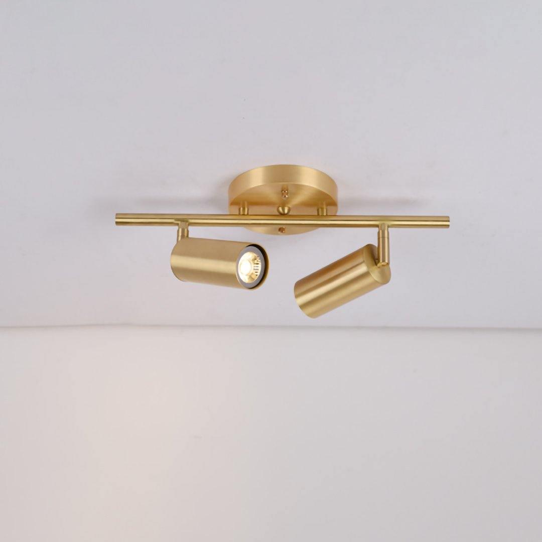 Modern Brass Double Cylinder Adjustable Wall Spotlight