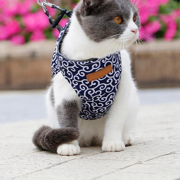 Guili | Cat Vest Harness and Leash Set to Outdoor Walking