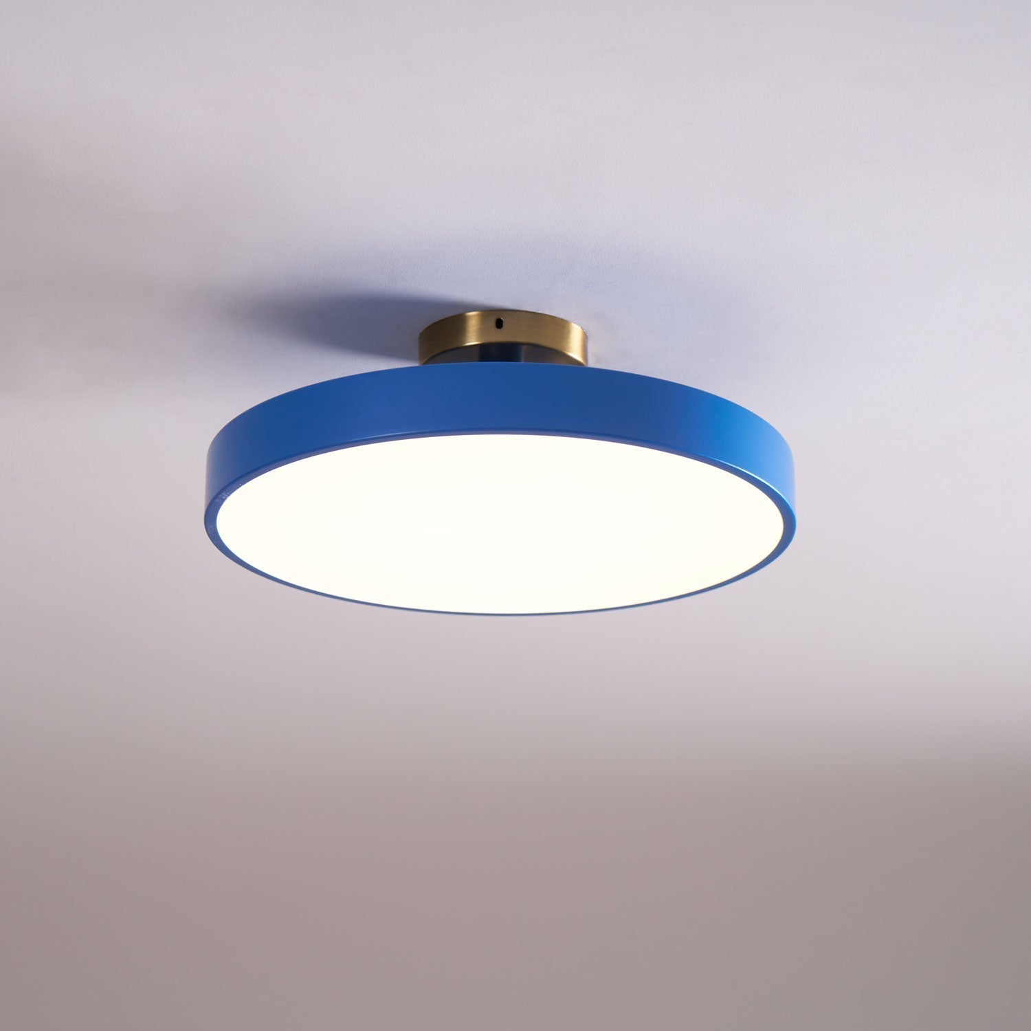 Modern Round LED Flush Mount Ceiling Light 1-Light