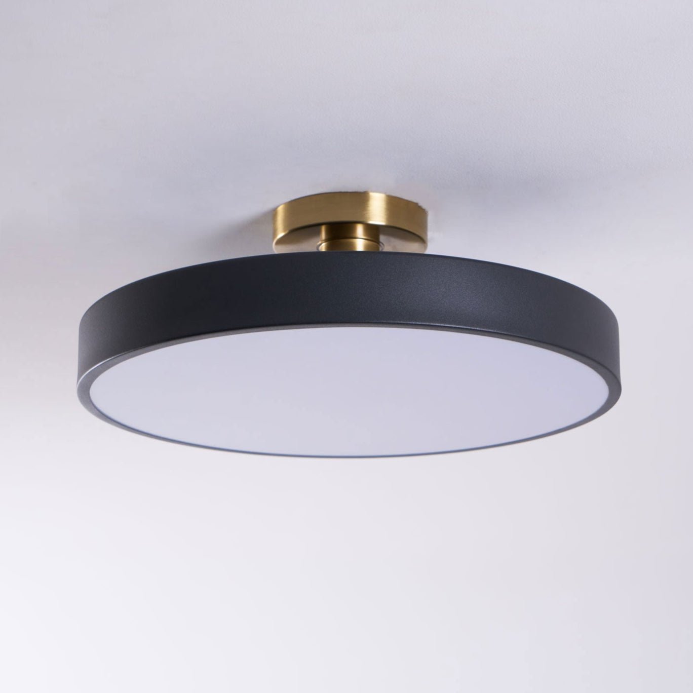 Modern Round LED Flush Mount Ceiling Light 1-Light