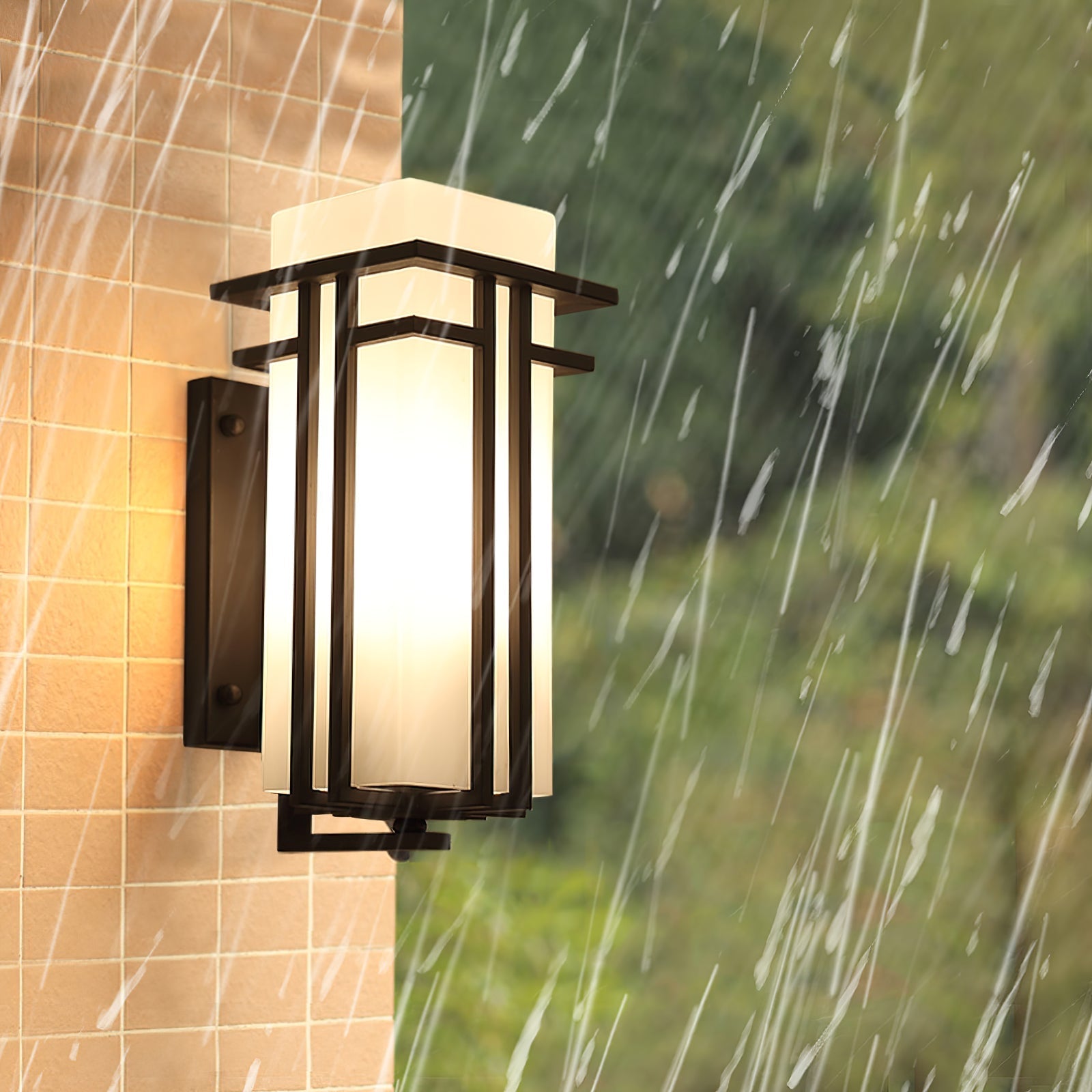 Retro Industrial Iron Glass Outdoor Wall Light LED 1-Light