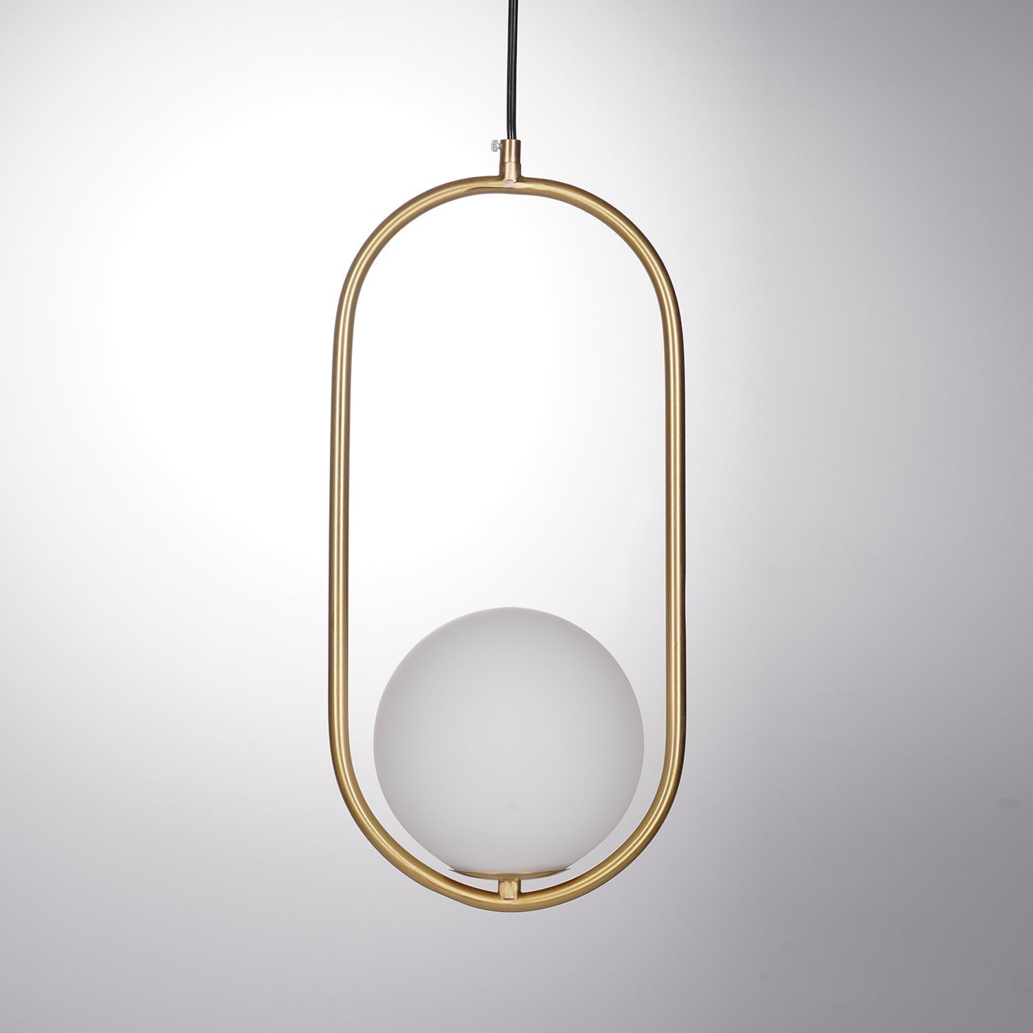 Modern Brass Ring Globe Glass Pendant Light 1-Light