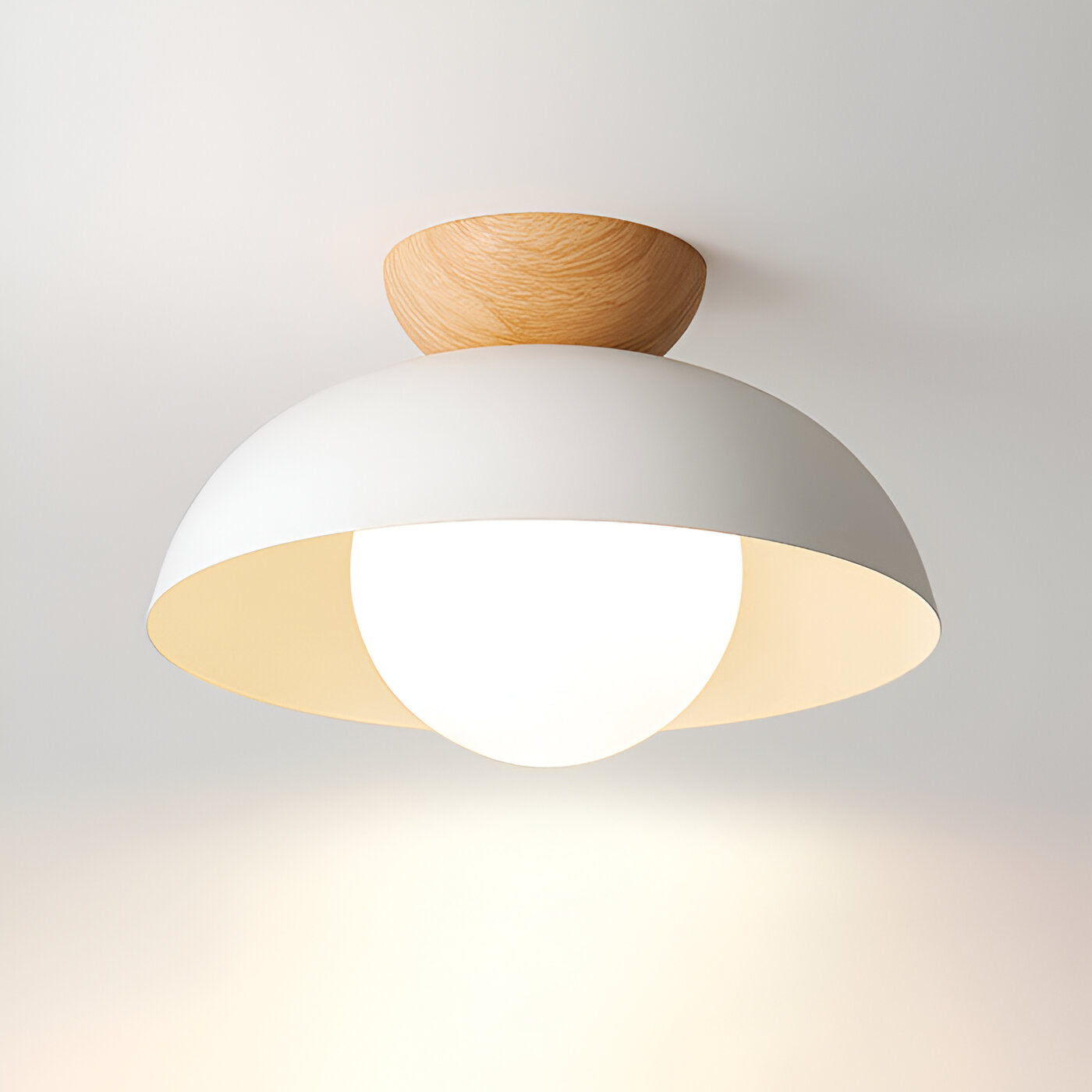 Modern Minimalist Glass Dome LED Ceiling Light 1-Light