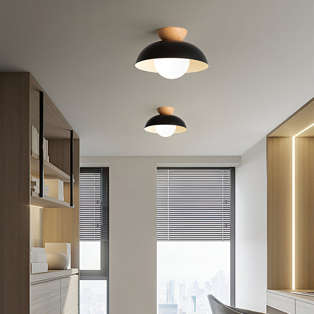 Modern Minimalist Glass Dome LED Ceiling Light 1-Light