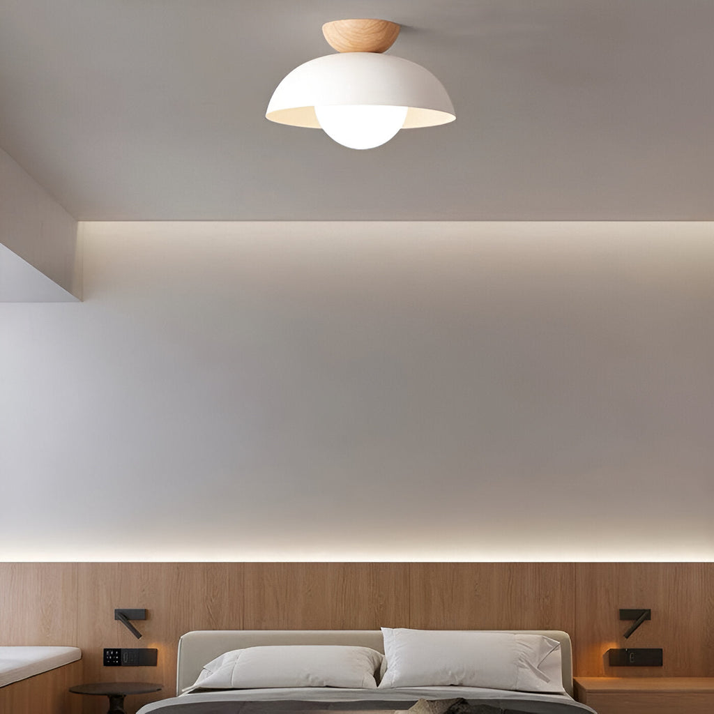 Modern Minimalist Glass Dome LED Ceiling Light 1-Light