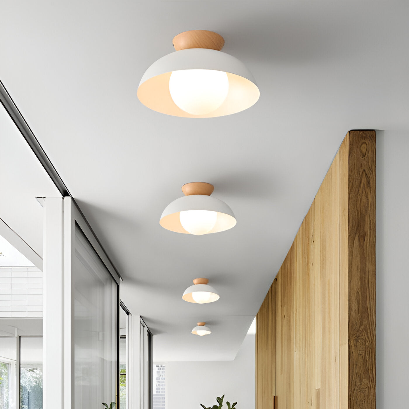 Modern Minimalist Glass Dome LED Ceiling Light 1-Light