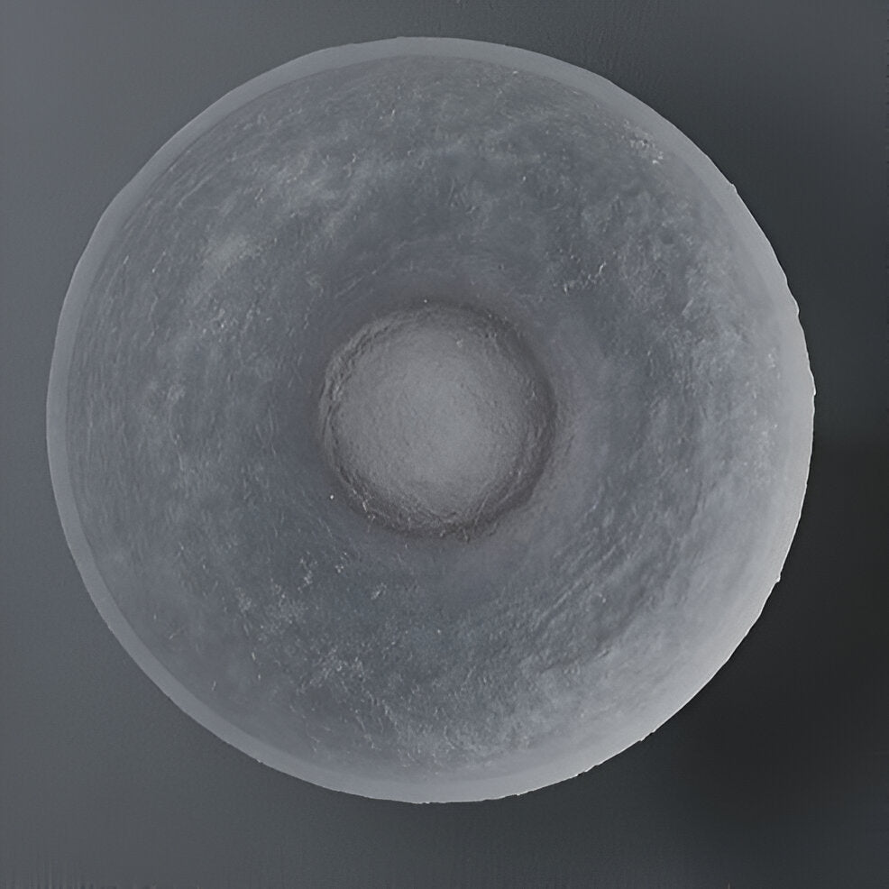 Modern Minimalist Resin Round Wall Sconce LED 1-Light