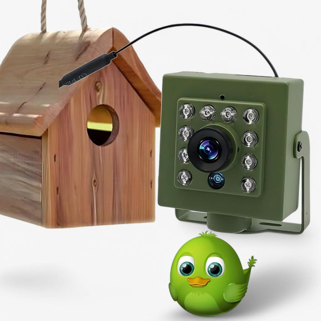 Guili | 1080p HD & weatherproof for impressive birdwatching