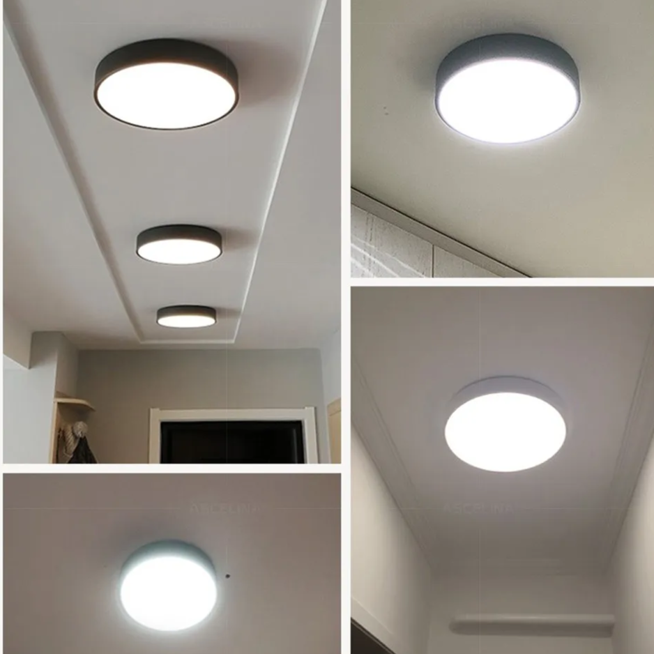 Modern Minimalist Round LED Ceiling Light 1-Light