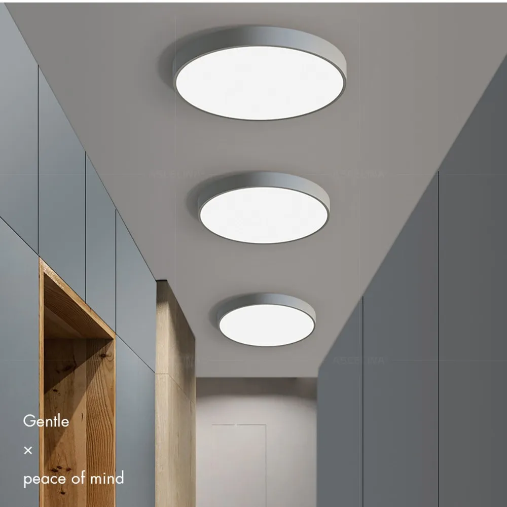 Modern Minimalist Round LED Ceiling Light 1-Light