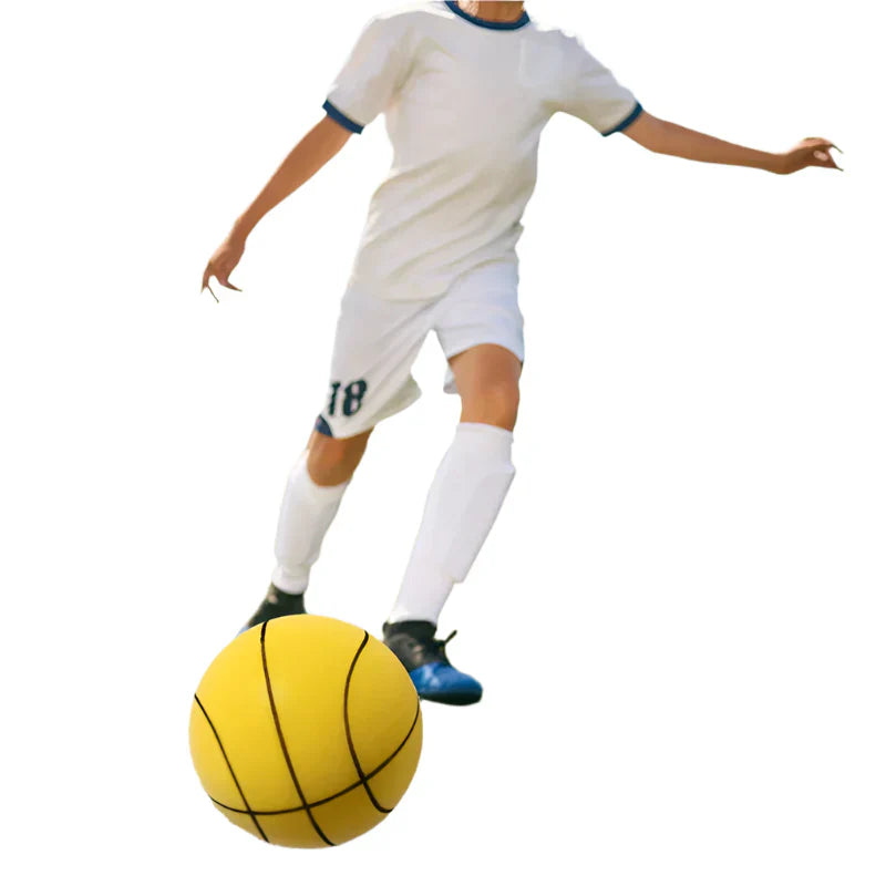 Guili | DribbleQuiet  | Train quietly, big results - Indoor basketball with high elasticity