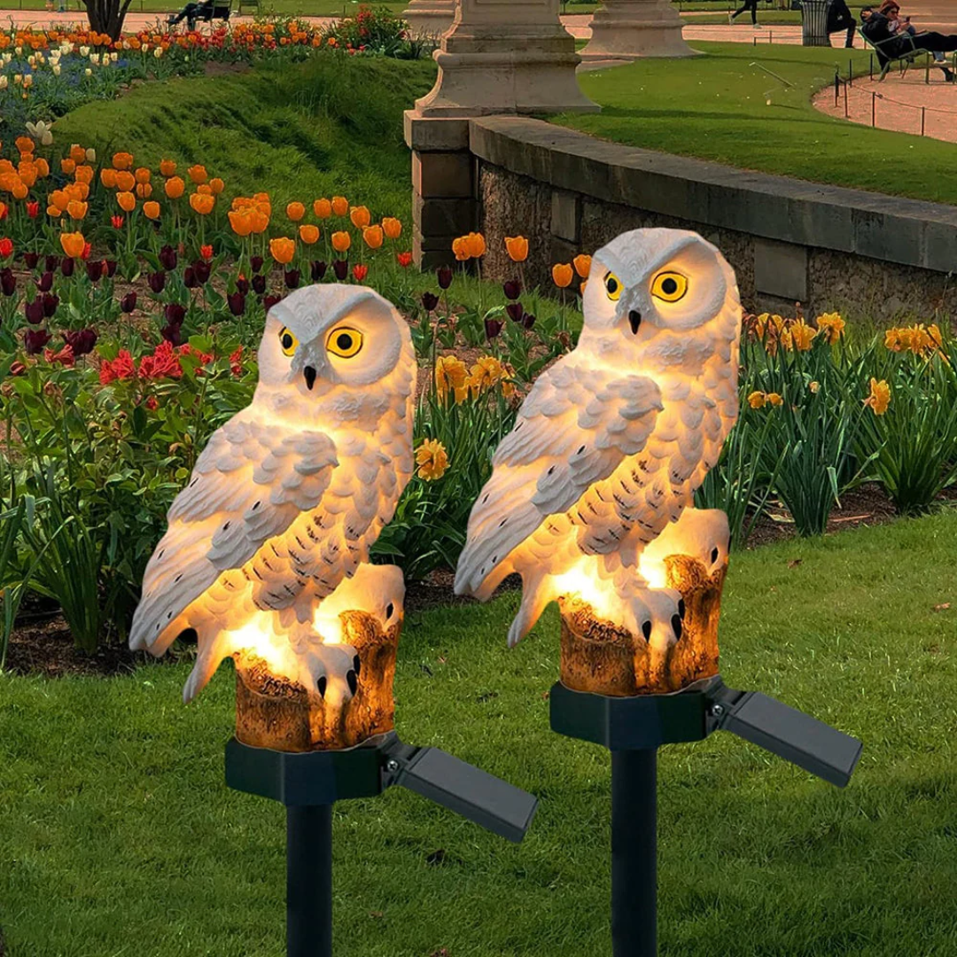 Solar Garden Light – Charming Owl Solar Lantern with Warm White LED for Outdoor Lighting