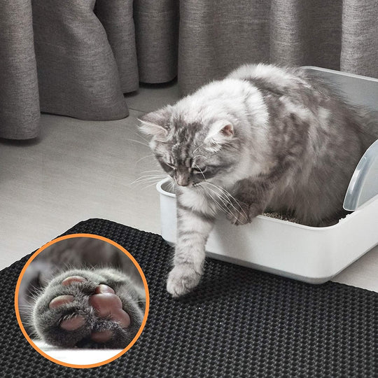 Guili | Cat Litter Mat with Double-Layer Trap and Non-Slip Base – PawGuard