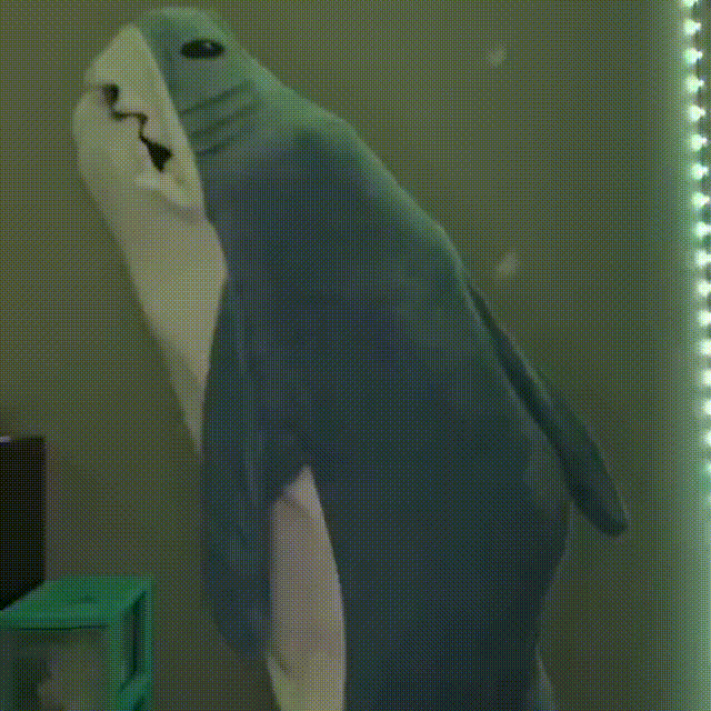 Guili | Shark Blanket | Cozy - Portable Shark Blanket for Everyone